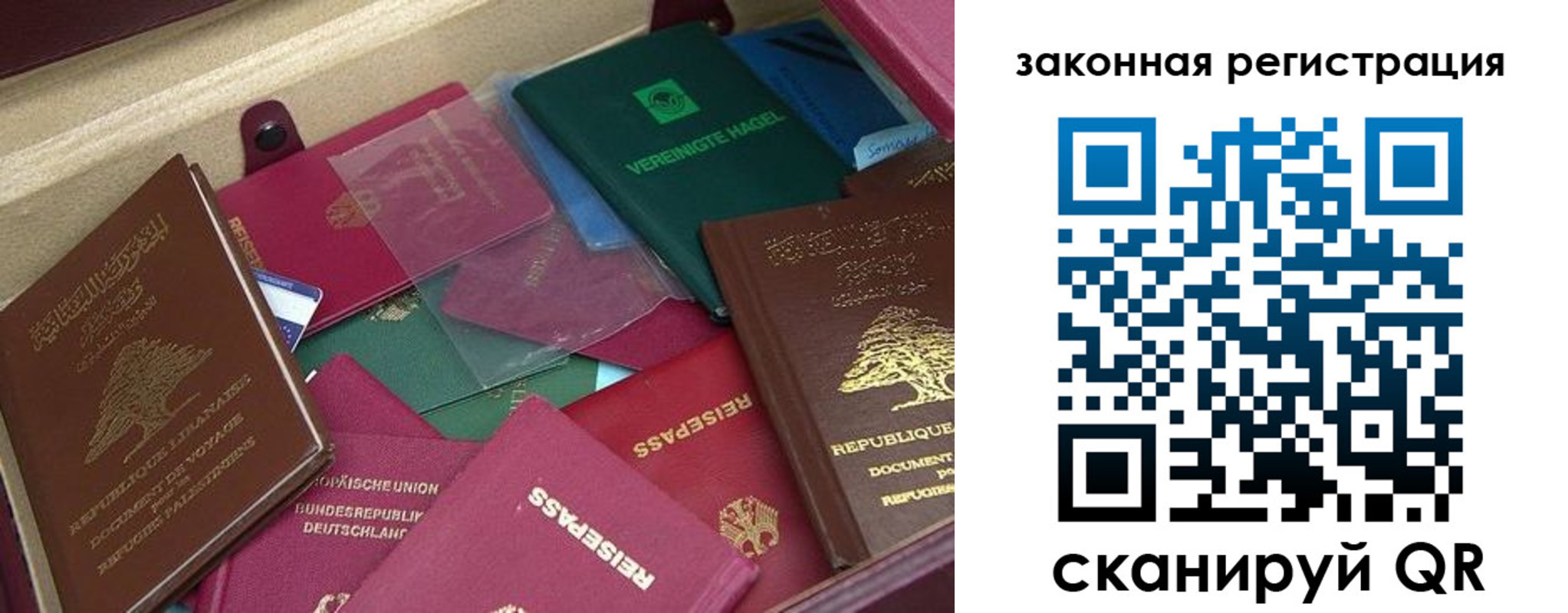 купить прописку в Зеленоградске